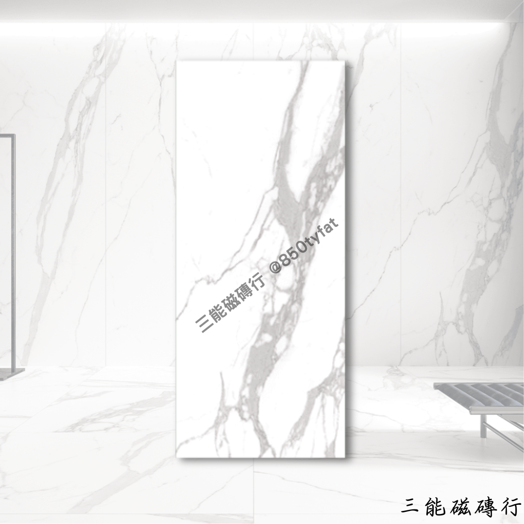 [義大利]金耀光-銀 | 120 x 280cm