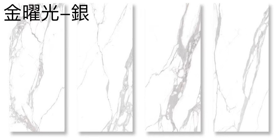 [義大利]金耀光-銀 | 120 x 280cm