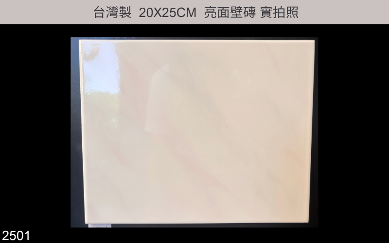 20X25磁磚