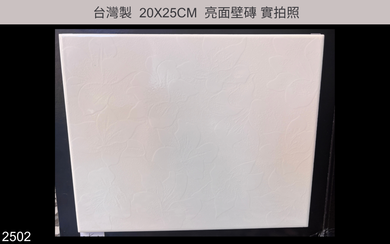 20X25磁磚