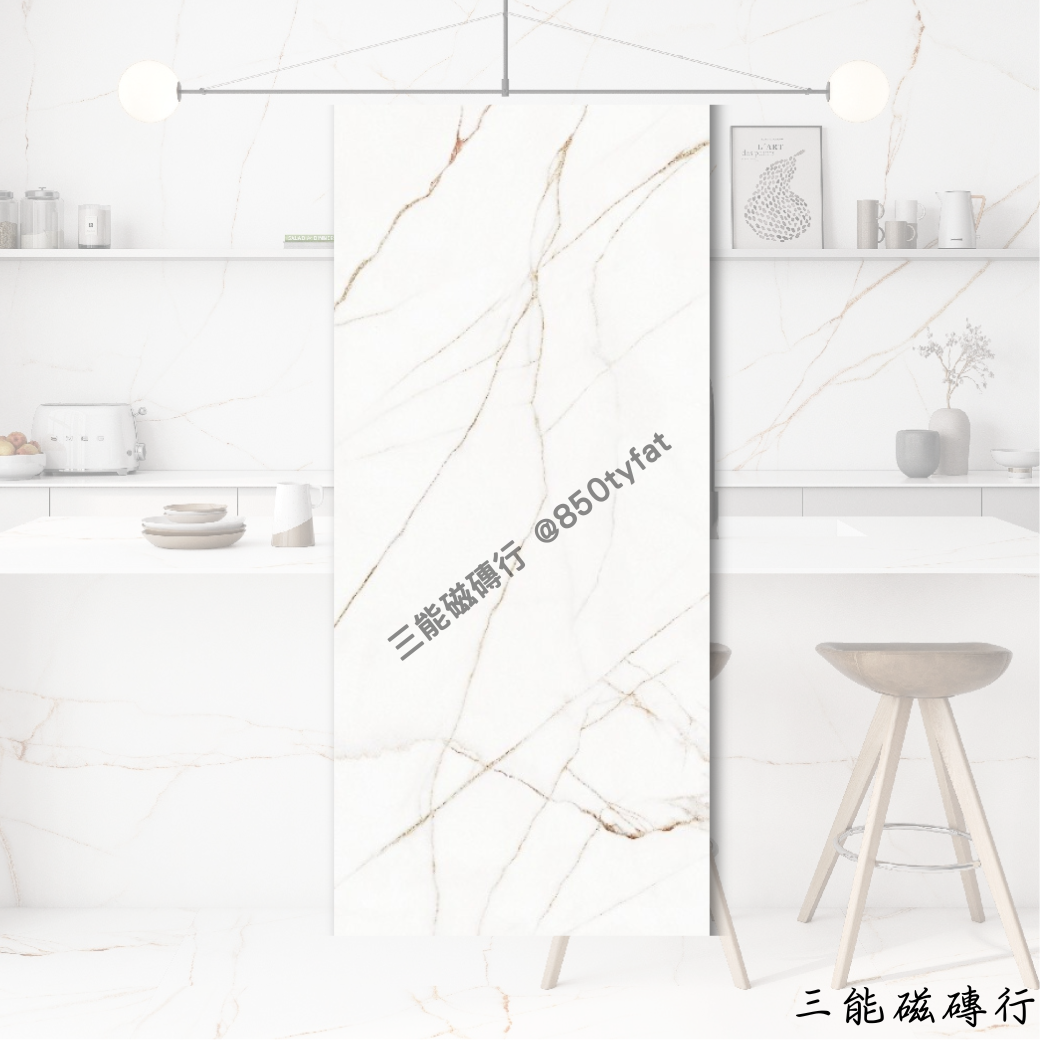 [義大利]霸石白花 | 120 x 300cm