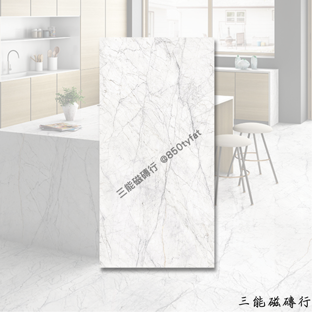 [印度]銀河幻影 | 120 x 240cm