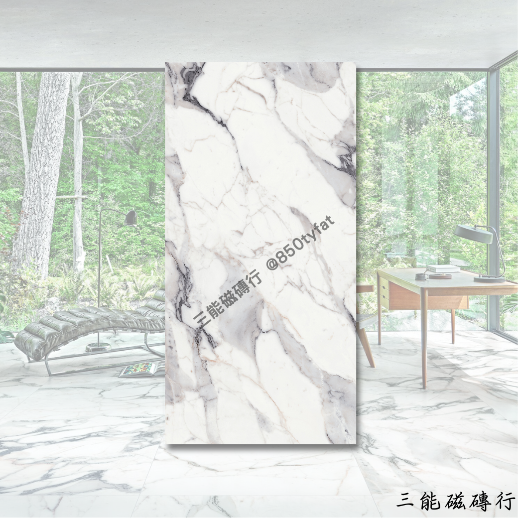 [義大利]皇家浮影白 | 120 x 240cm