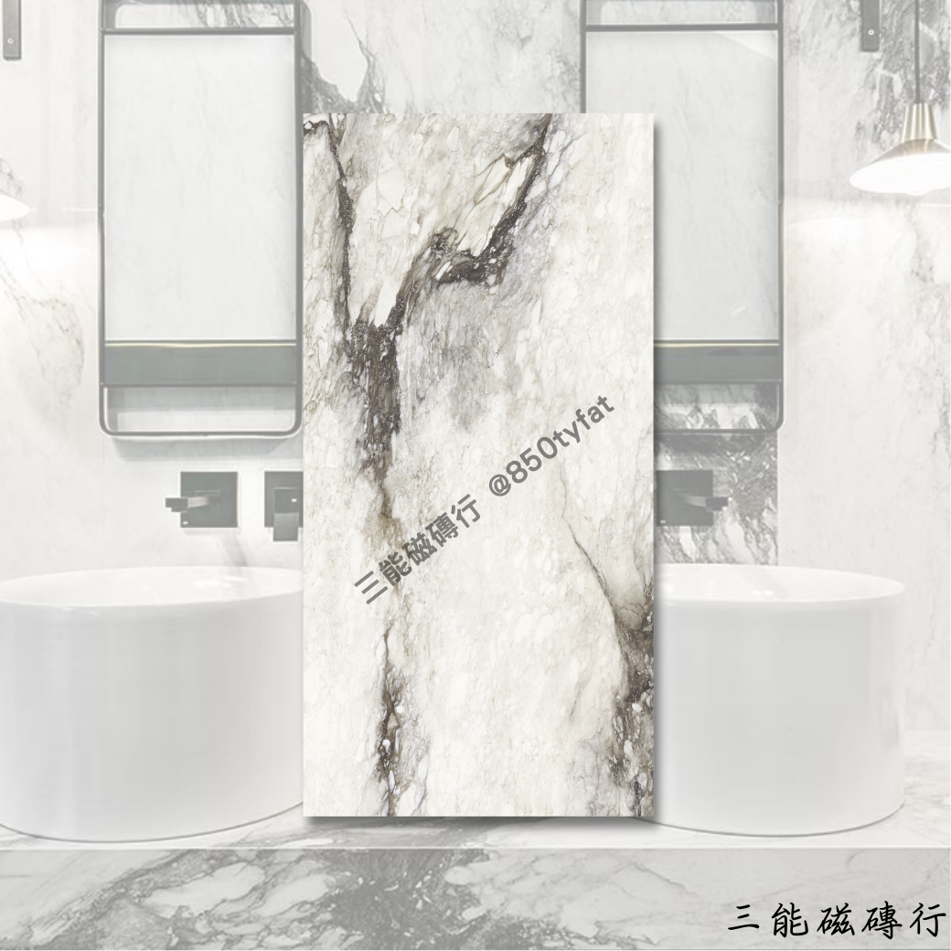 [義大利]龍吟銀岩 | 120 x 240cm