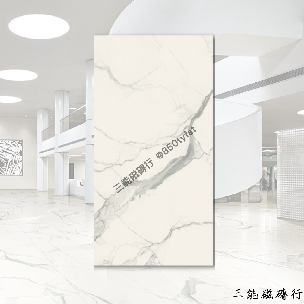 [義大利]浮雕雅白 | 120 x 240cm