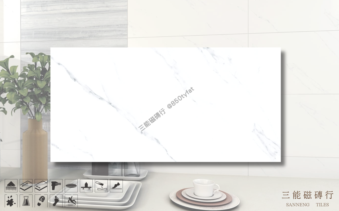 頂上石-雪白銀狐磁磚，冠軍磁磚 D6301 型號，白底搭配細緻銀灰紋理，大理石風格設計，三能磁磚行