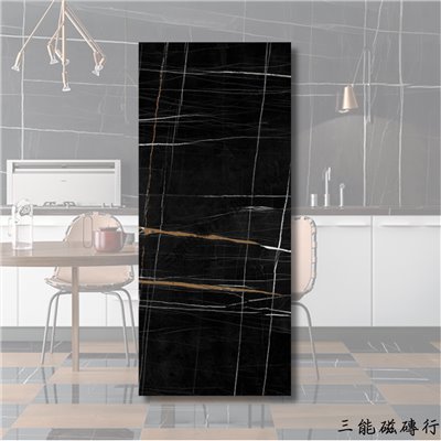 [義大利]摩納哥黑 | 120x278cm