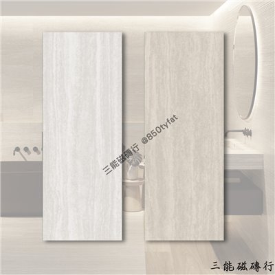 [義大利]羅馬洞石-白 | 100x 275cm