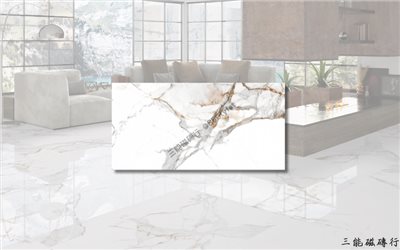 [西班牙]極光白 | 60x120