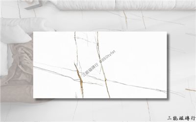 [西班牙]琥珀獵影 | 60x120