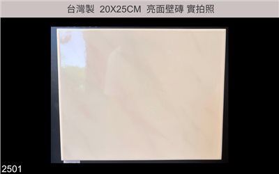 20X25磁磚 |  2501