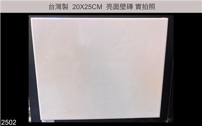 20X25磁磚 |  2502
