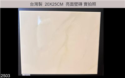 20X25磁磚 |  2503