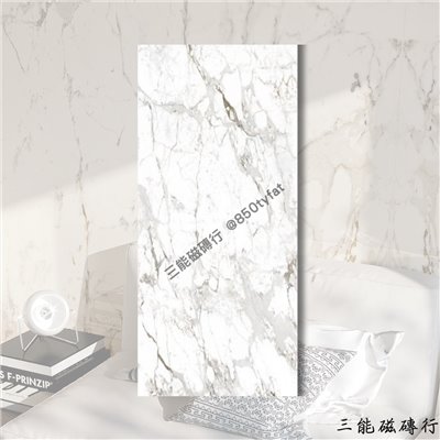 [義大利]瓷尚大理石 | 120 x 278 cm