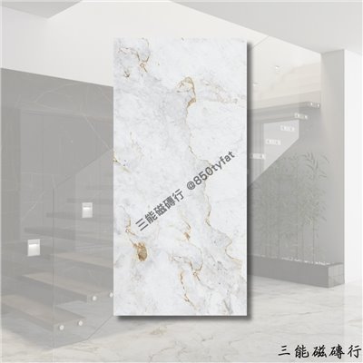 [西班牙]黃金夜影 | 120 x 250 cm