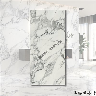 [西班牙]雪花金紋 | 120 x 260 cm