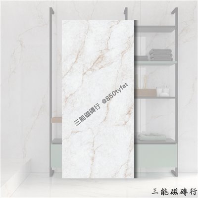 [義大利]秘境白 | 120 x 280cm