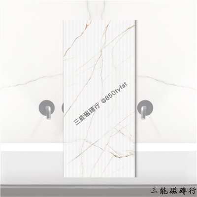 [義大利]霸石白 | 120 x 300cm