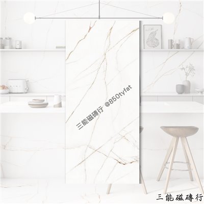 [義大利]霸石白花 | 120 x 300cm