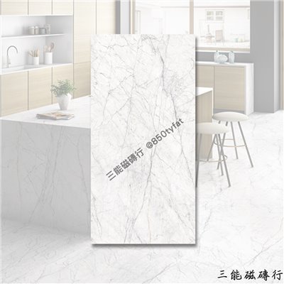 [印度]銀河幻影 | 120 x 240cm