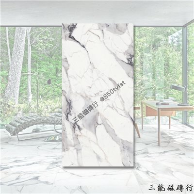 [義大利]皇家浮影白 | 120 x 240cm