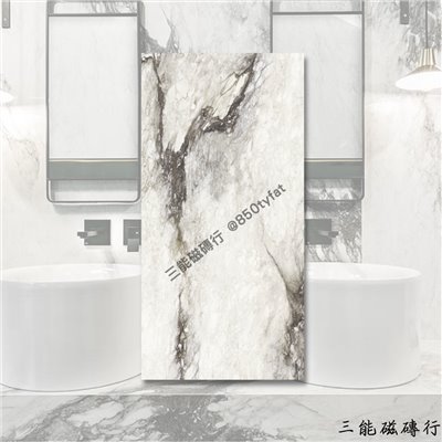 [義大利]龍吟銀岩 | 120 x 240cm