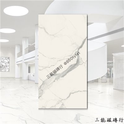 [義大利]浮雕雅白 | 120 x 240cm