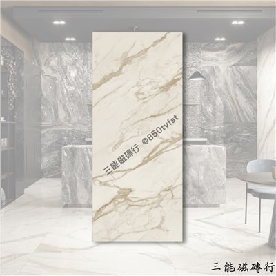 [義大利]金燦卡拉拉 | 119.5 x 278cm