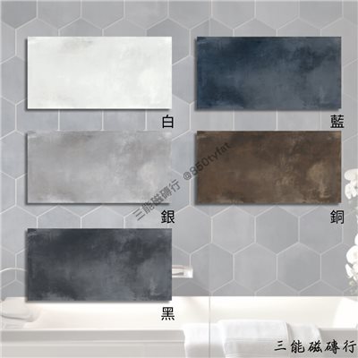 [義大利]里昂 | 22x25、60x120cm