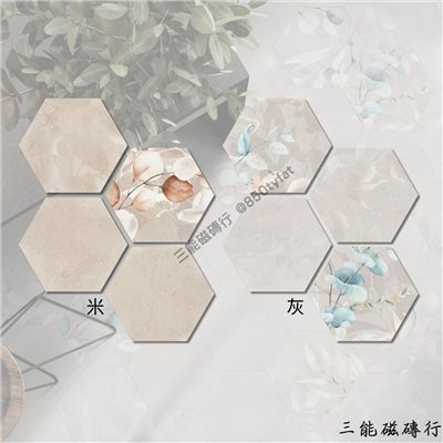 [西班牙]漠境之花 | 23x27cm