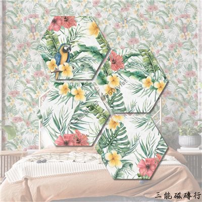 [西班牙]綠凝妍 | 23x27cm