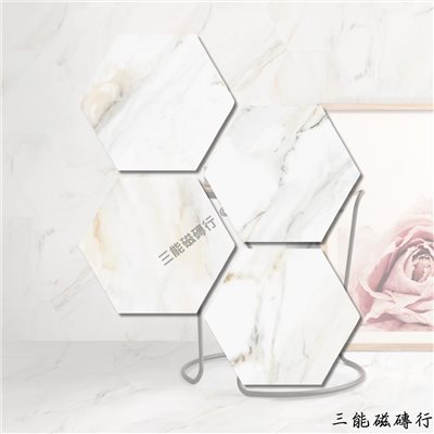 [西班牙]霜雪狐蹤 | 23x27cm