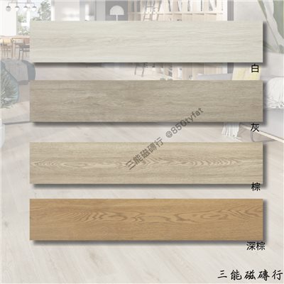 [西班牙]阿爾特肯 | 22.7x119.5cm