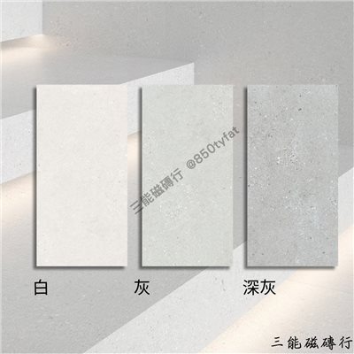 [義大利]銀礦 | 60x120cm