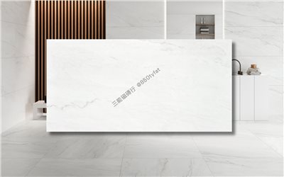 [西班牙]雪晶 |  60x120cm