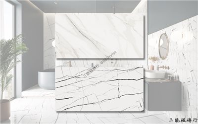 [義大利]素韻白 | 60x120cm