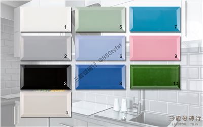 [西班牙]晶釉地鐵磚 | 10x20cm