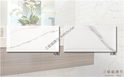 [西班牙]經典立體地鐵磚 | 10x20cm