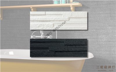 [西班牙]粗面立體石紋 |  17x52cm