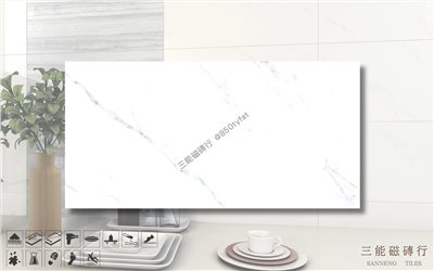 [國產-冠軍]頂上石-雪白銀狐 | 30x60cm