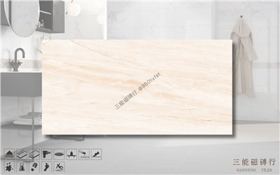 [國產-冠軍]頂上石-冰川世紀 | 30x60cm