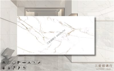 [國產-冠軍]新世紀大理石-金絲雕刻白 | 60x120cm