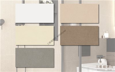 [國產-冠軍]米洛絲 | 30x60cm