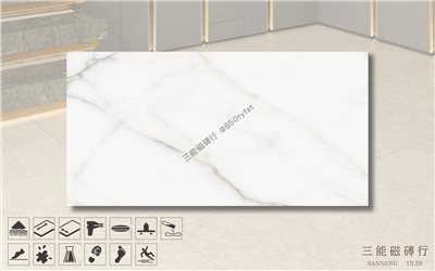 [國產-冠軍]絲柔大理石-卡拉拉白 | 30x60cm